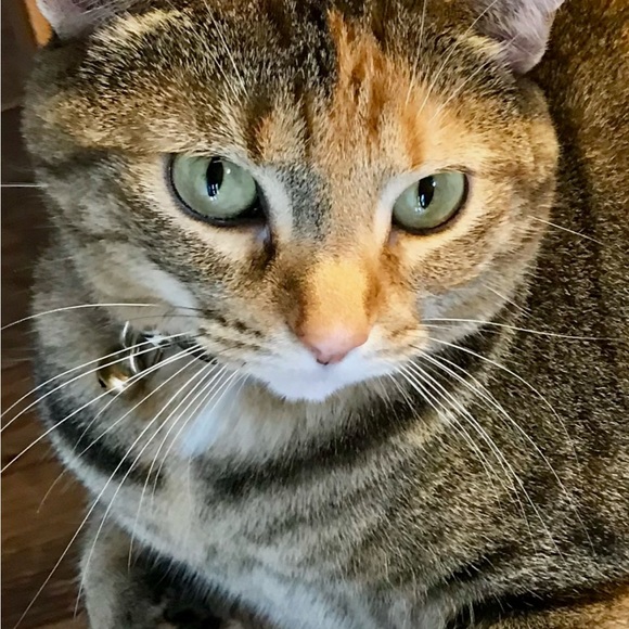 Meet your Posher, Kathy - Picture 1 of 1